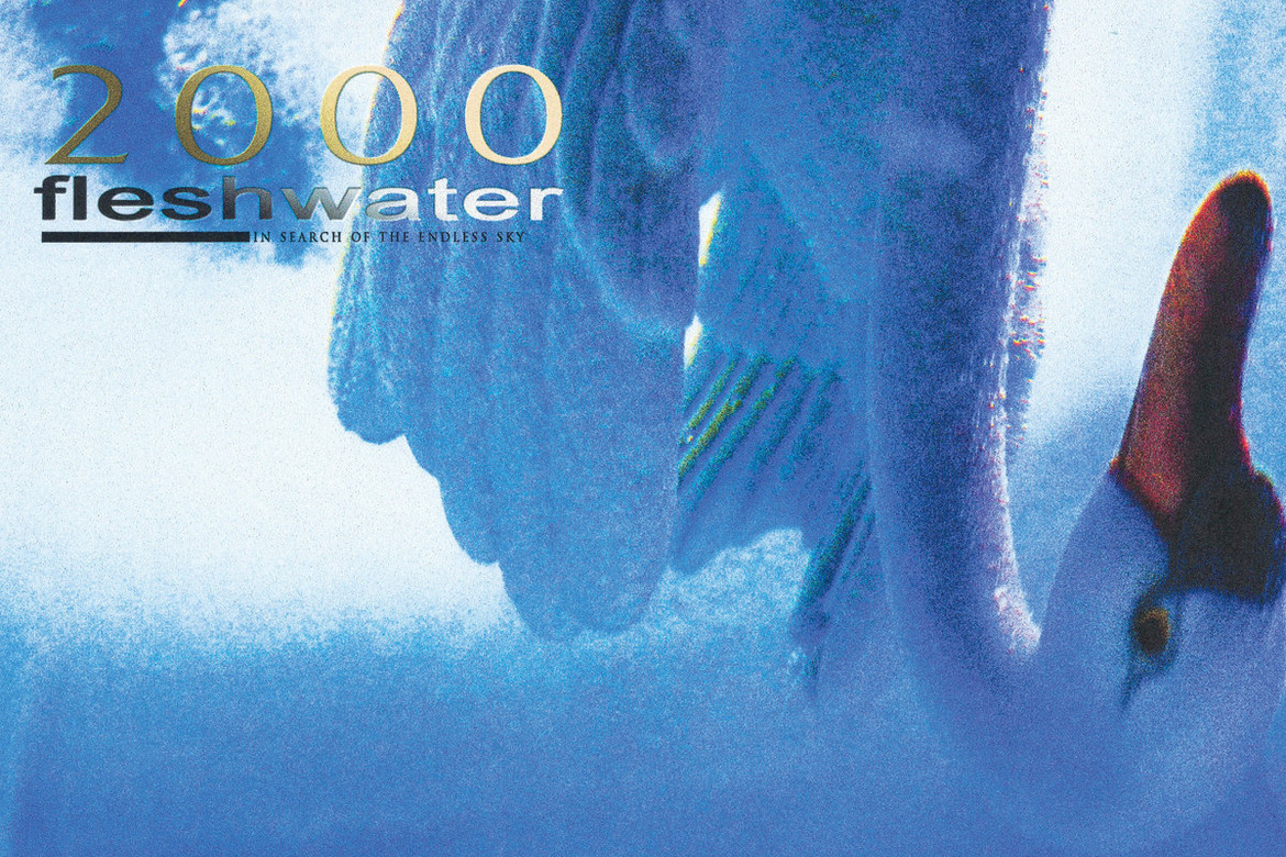 Fleshwater – 2000: In Search of the Endless Sky | Album Review